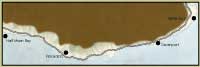 forrest map