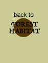 back to forest habitats