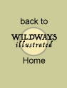 back to Wildways Illustrated home
