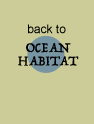 back to ocean habitat