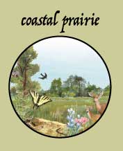 coastal prairie