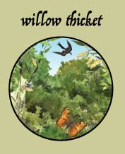 willow thicket