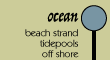 ocean