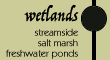 wetlands