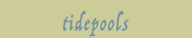 tidepools