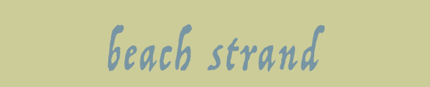 beach strand