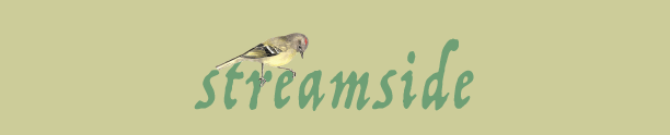 streamside