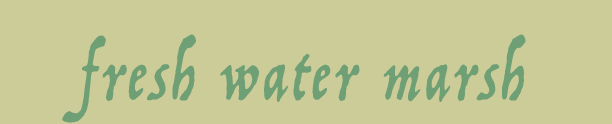 fresh water marsh habitat